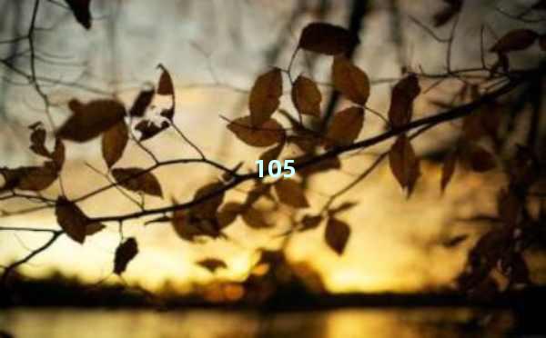 AI写作提示词模板：助力创作的秘密武器