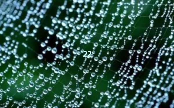 AI写作智能生成：颠覆传统写作方式，释放创造力