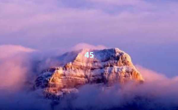 AI写作助手的使用教程