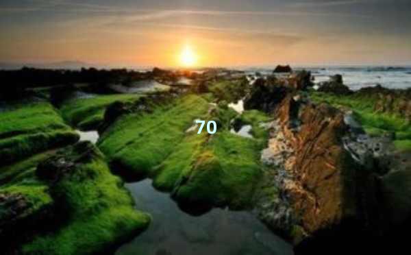 AI写作工具集合：让你的创作更高效、更精彩